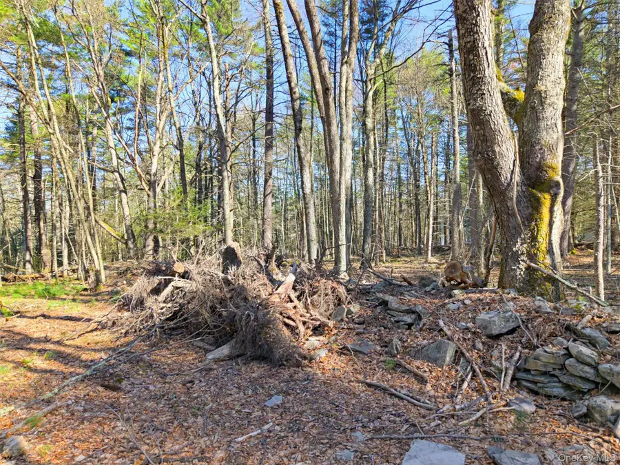 Crawford Road, Highland, NY 12528 - #2