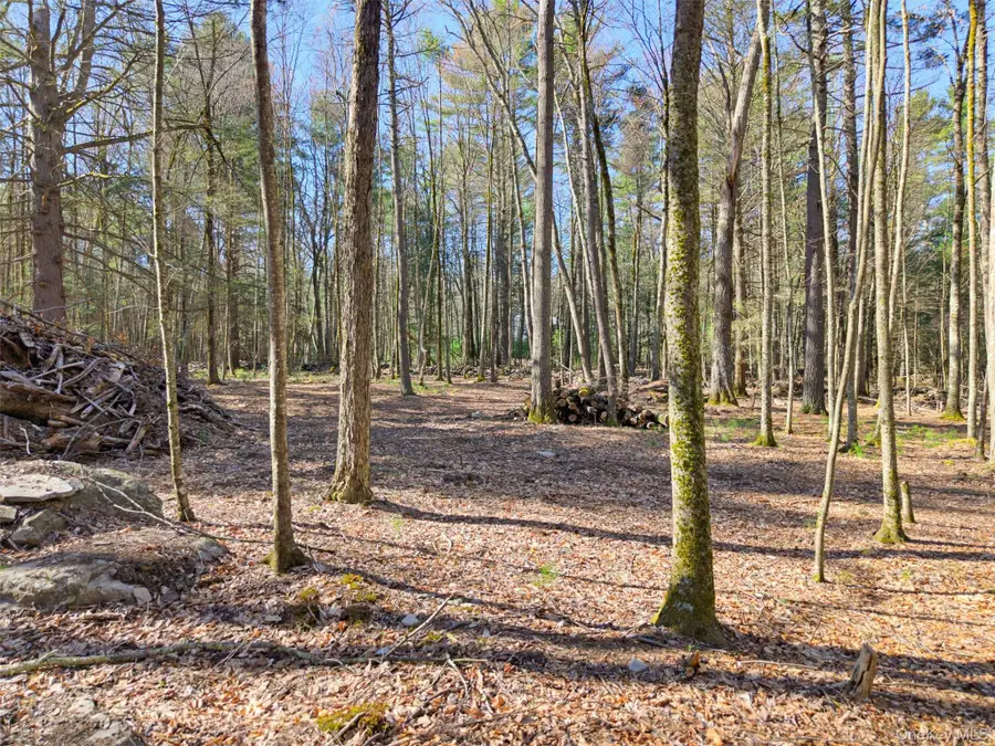 Crawford Road, Highland, NY 12528 - #3