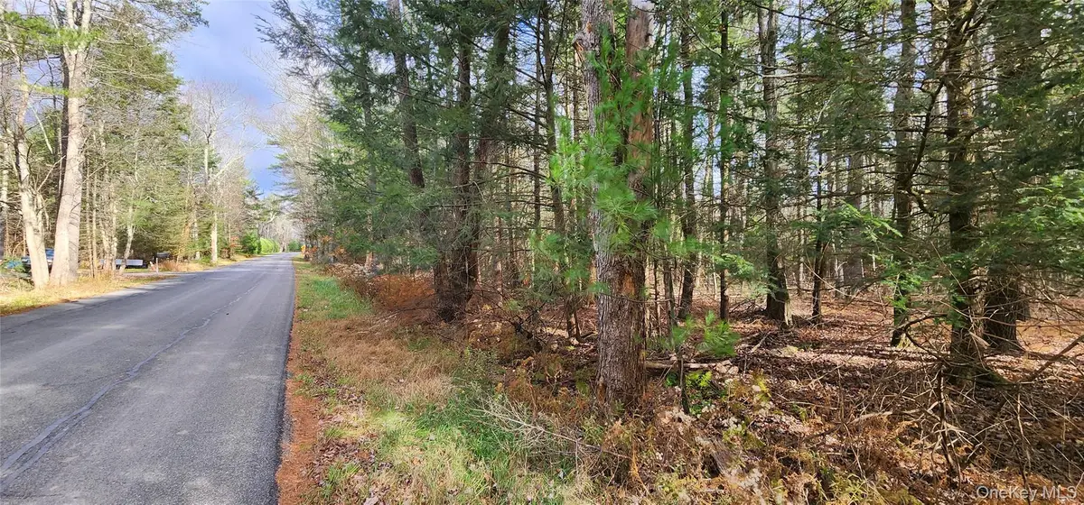 00 Mongaup Road, Monticello, NY 12701 - #1