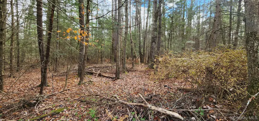 00 Mongaup Road, Monticello, NY 12701 - #3