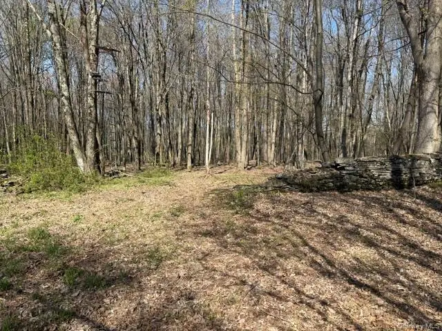 Chaffee, Liberty, NY 12754 - #3