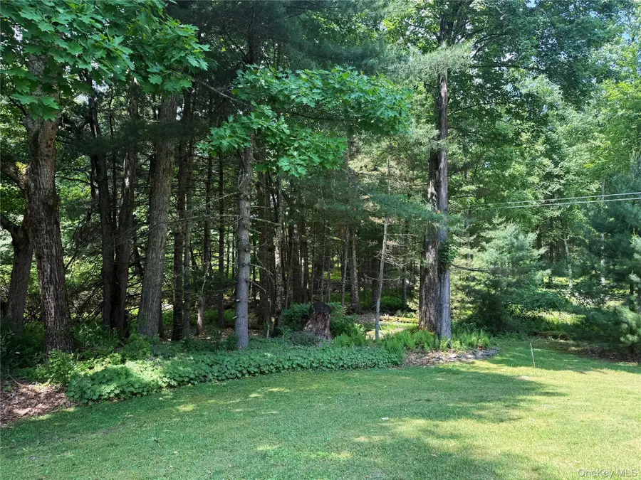 1222 Sackett Lake Road, Forestburgh, NY 12777 - #3