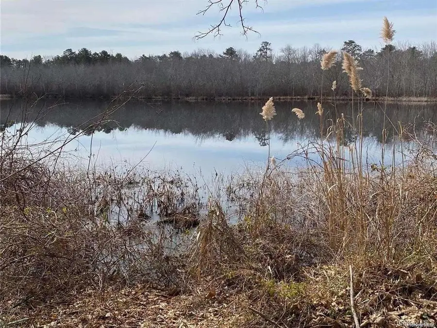 1217 W Main Street, Riverhead, NY 11901 - #3