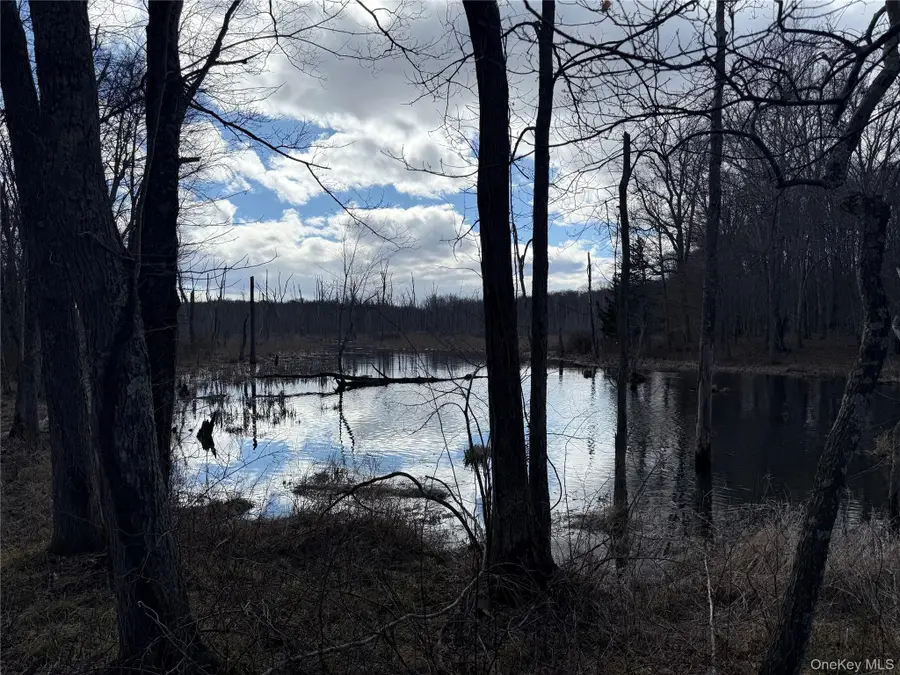 Collabar Road, Montgomery, NY 12549 - #3