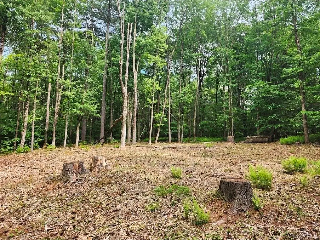 106 Starlight Drive, Monticello, NY 12701 - #1