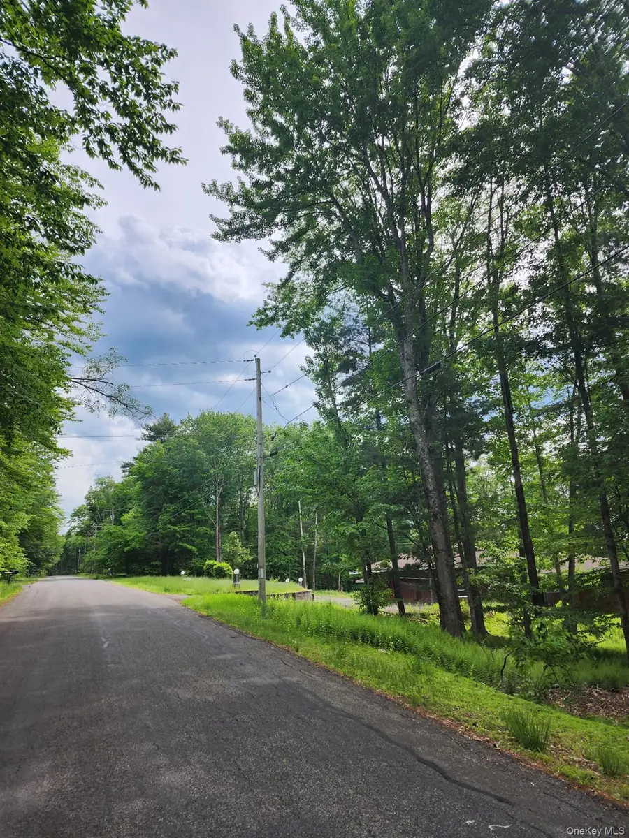 106 Starlight Drive, Monticello, NY 12701 - #2