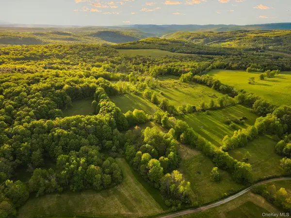 1 Hall Hill Road, Parksville, NY 12768