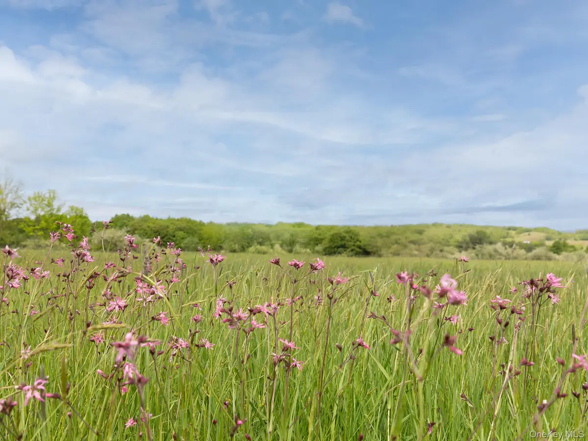 00 Beechwoods Road, Callicoon, NY 12723 - #1