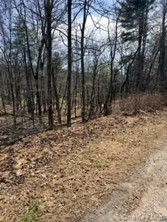 14 Old Country Road, Deerpark, NY 12780 - #2