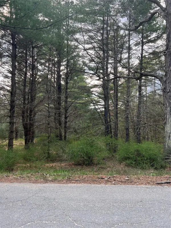 00 Upper Pine Kill Road, Wurtsboro, NY 12790