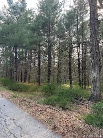 00 Upper Pine Kill Road, Wurtsboro, NY 12790 - #3