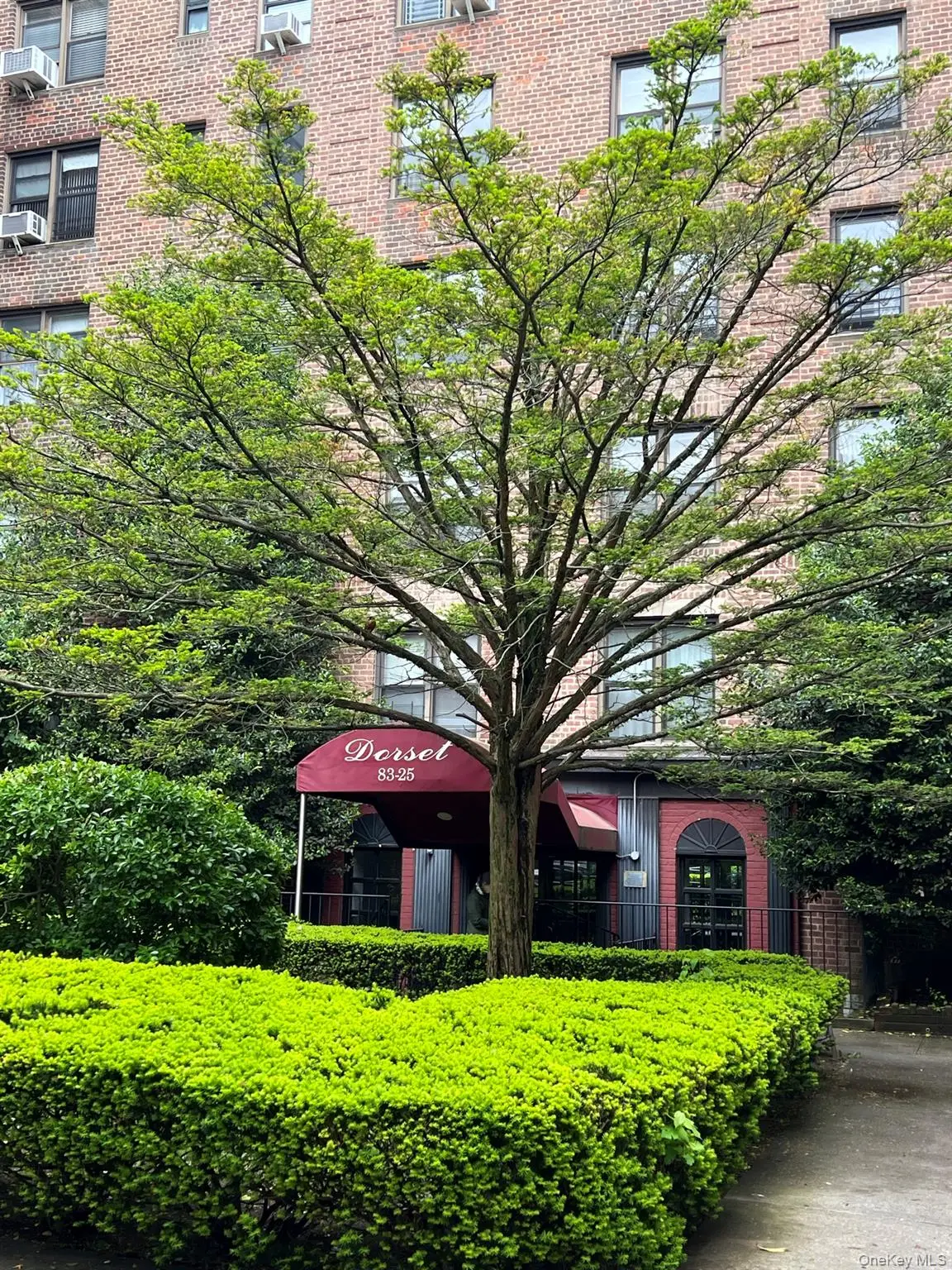 8325 98th Street #5P, Woodhaven, NY 11421 - #1