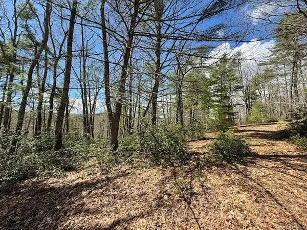 Lot 73.9 Pine Road, Glen Spey, NY 12737