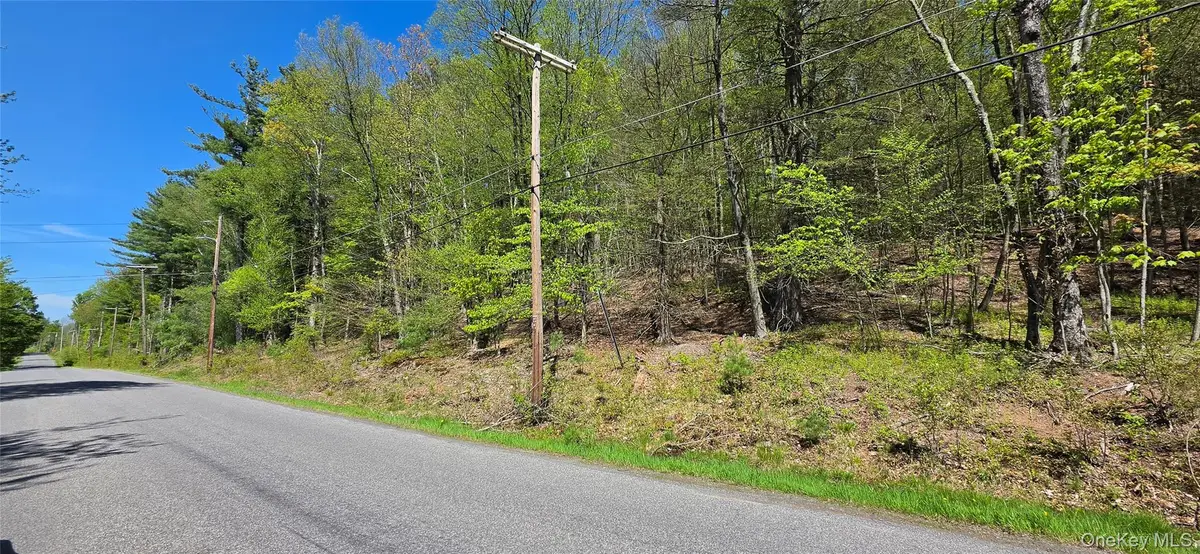 Hamilton Road, Monticello, NY 12701 - #1