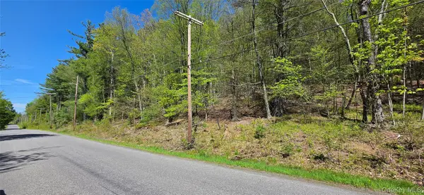 Hamilton Road, Monticello, NY 12701
