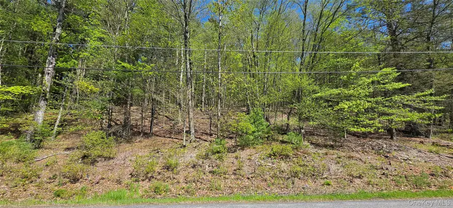 Hamilton Road, Monticello, NY 12701 - #2