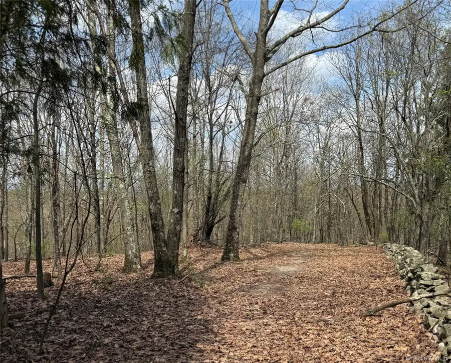 383 Connors Road, Middletown, NY 10941 - #3