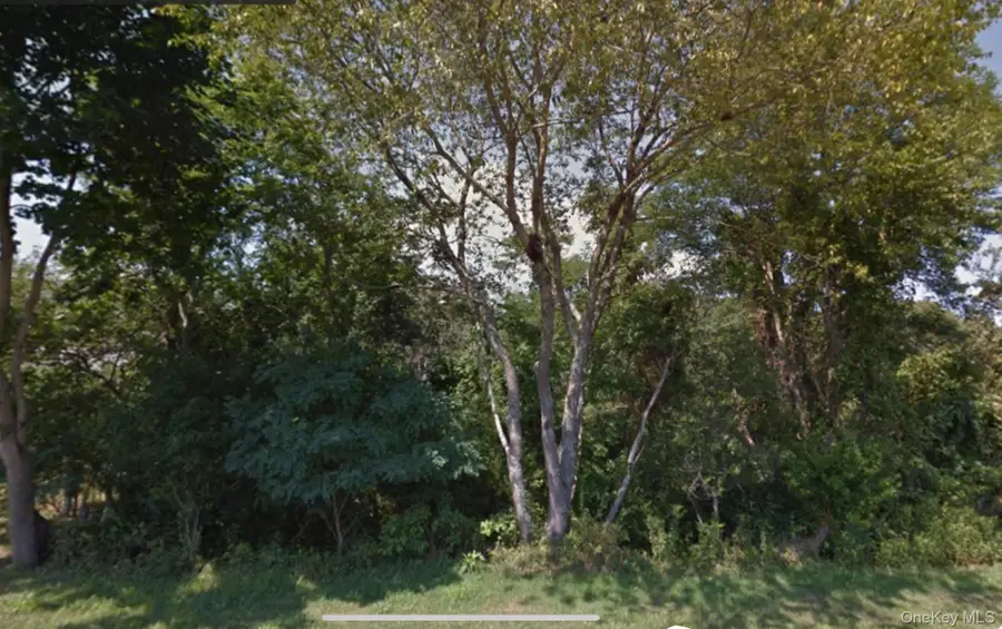 29 Burns Road, Shelter Island, NY 11964 - #3