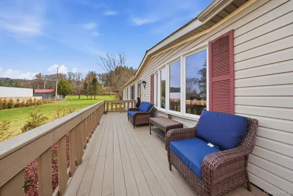 32 Meadow Street, Livingston Manor, NY 12758