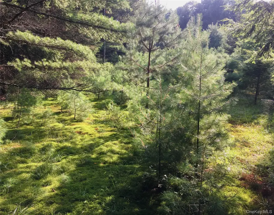55 Old Plank Road, Deerpark, NY 12780 - #2