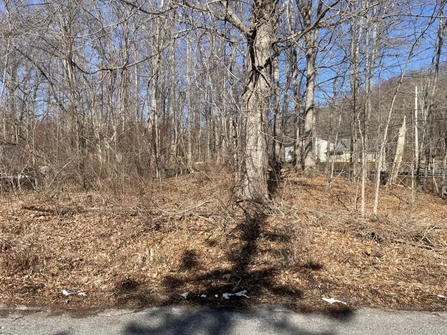 Route 52, Carmel, NY 10512 - #2