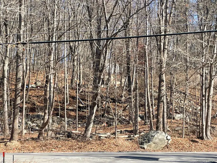 Route 52, Carmel, NY 10512 - #3