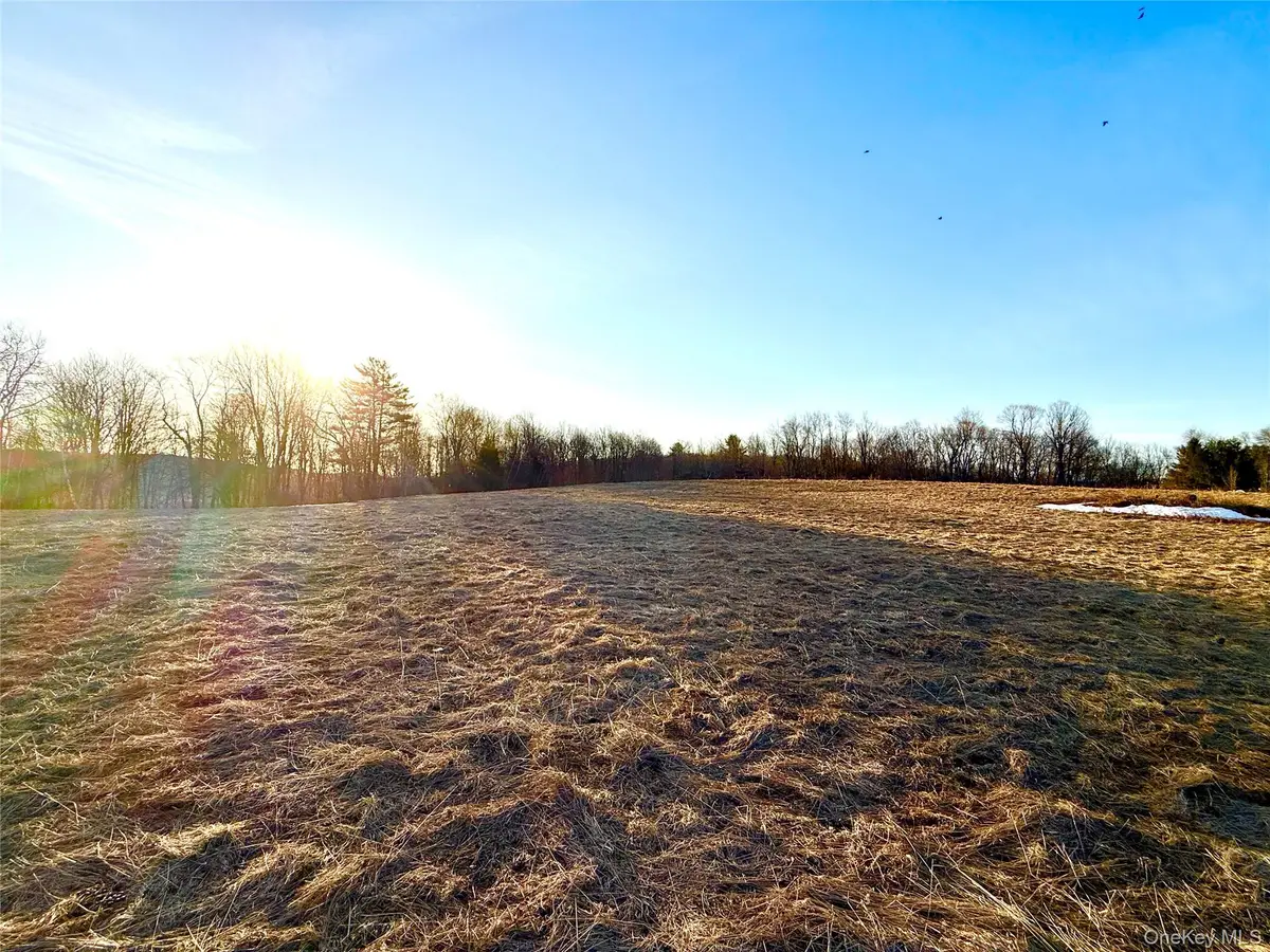 TBD Snake Hill Road, Franklin, NY 13775 - #1