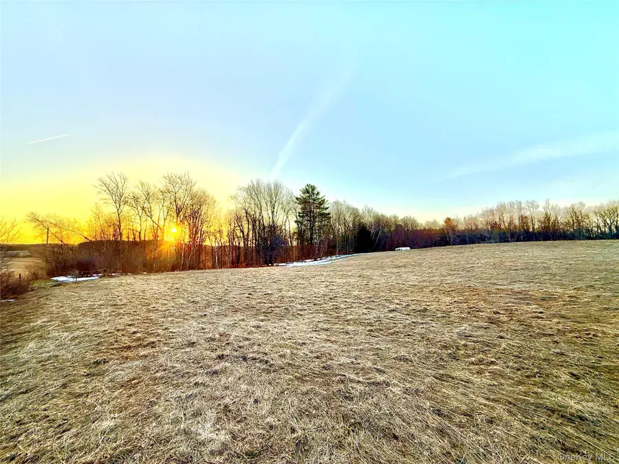 TBD Snake Hill Road, Franklin, NY 13775 - #2