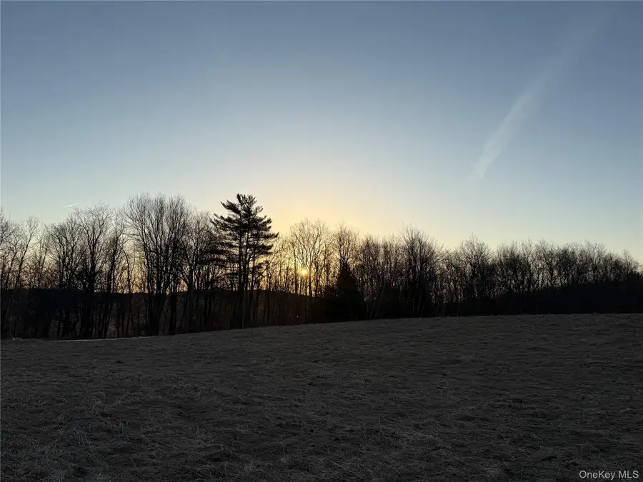 TBD Snake Hill Road, Franklin, NY 13775 - #3