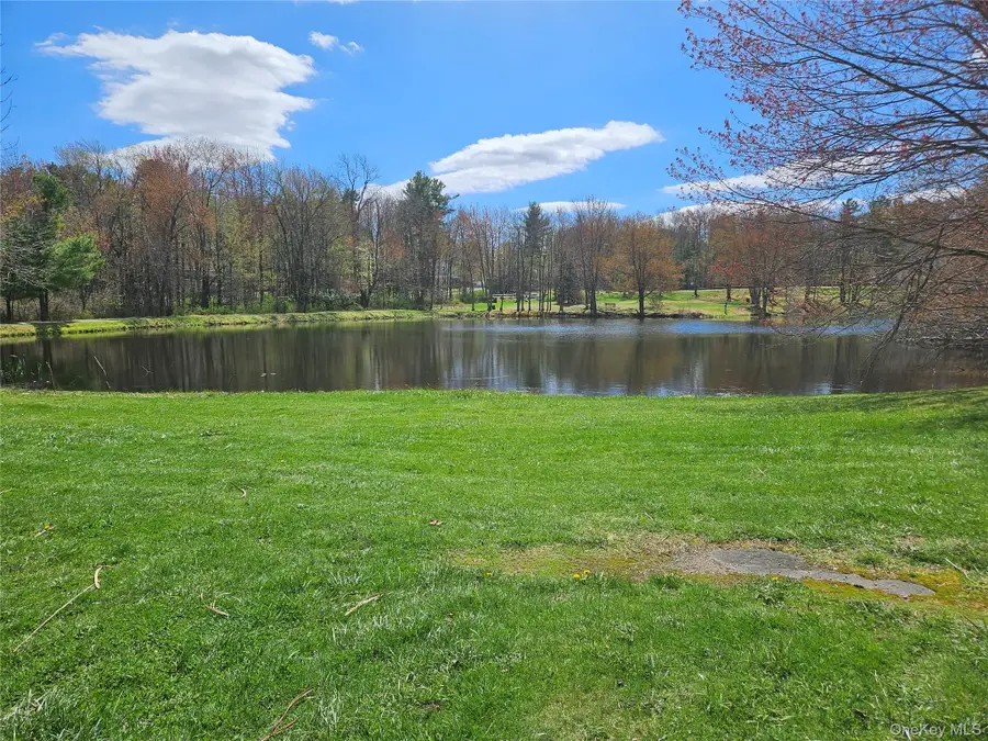 22 Hillside Avenue, Monticello, NY 12701 - #3
