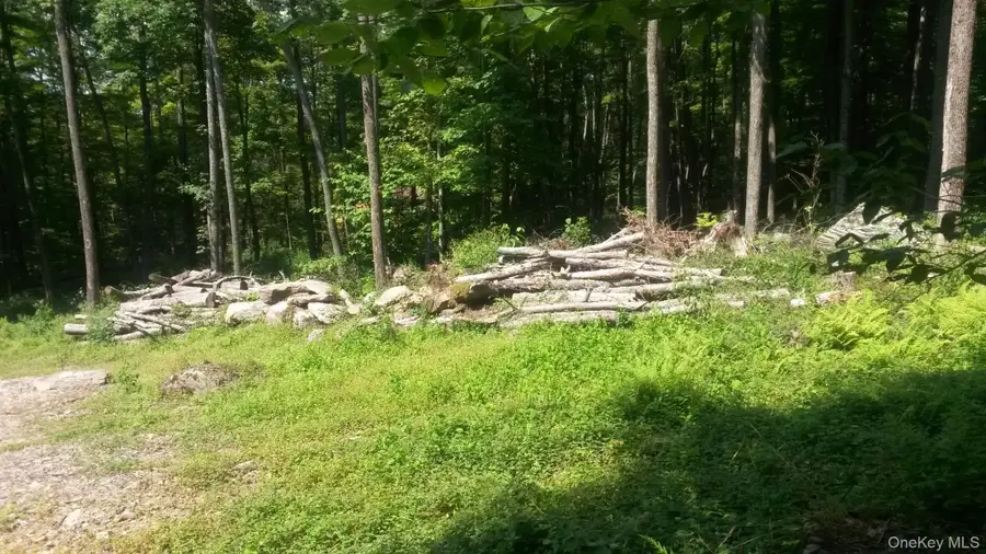 Quarry Road, Hancock, NY 13783 - #2