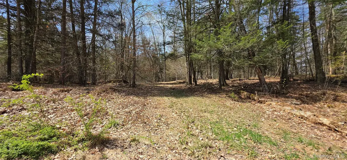 Lot 12 Tyler Road, Cochecton, NY 12726 - #1