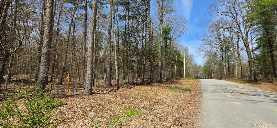 Lot 12 Tyler Road, Cochecton, NY 12726 - #2