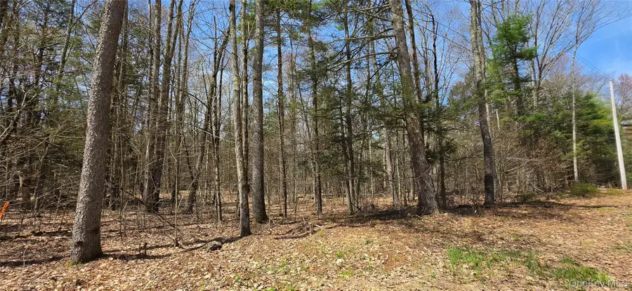 Lot 12 Tyler Road, Cochecton, NY 12726 - #3