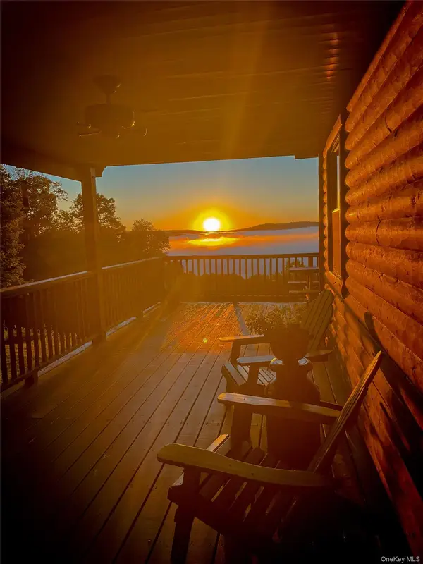 295 Emerald Heights Road, Downsville, NY 13752