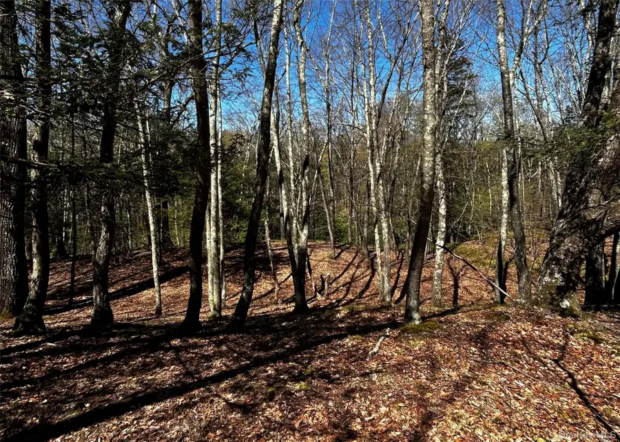 Bullshead Road, Clinton Corners, NY 12572 - #2