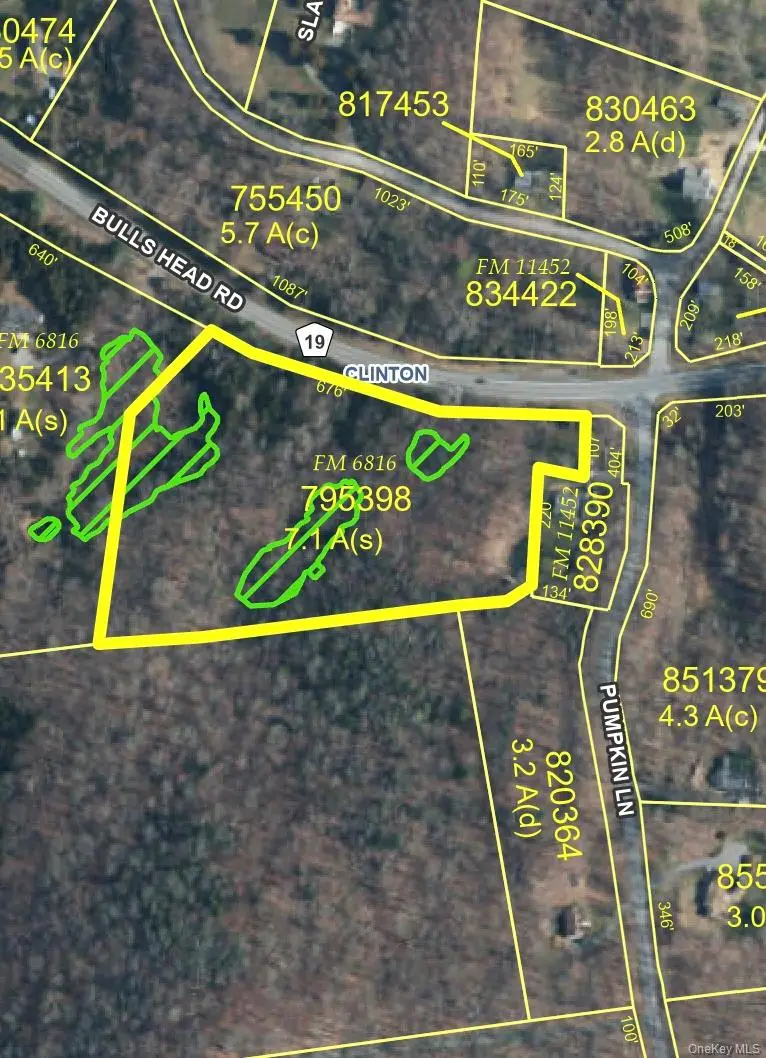 Bullshead Road, Clinton Corners, NY 12572 - #3