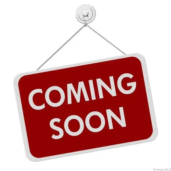 165 Wellesley Street, Hempstead, NY 11550 - #1