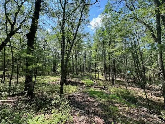 Lot 18 Hunczak Boulevard, Glen Spey, NY 12737 - #2