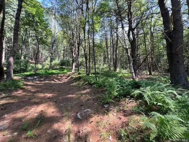 Lot 47.3 High Road, Glen Spey, NY 12737 - #3