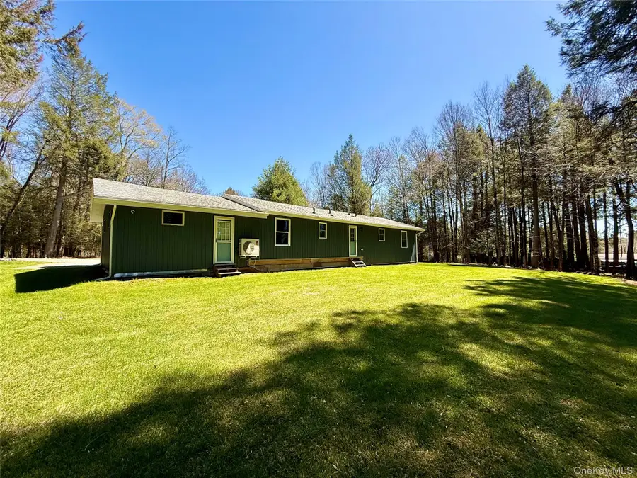 61 Pioneer Drive, Swan Lake, NY 12783 - #2