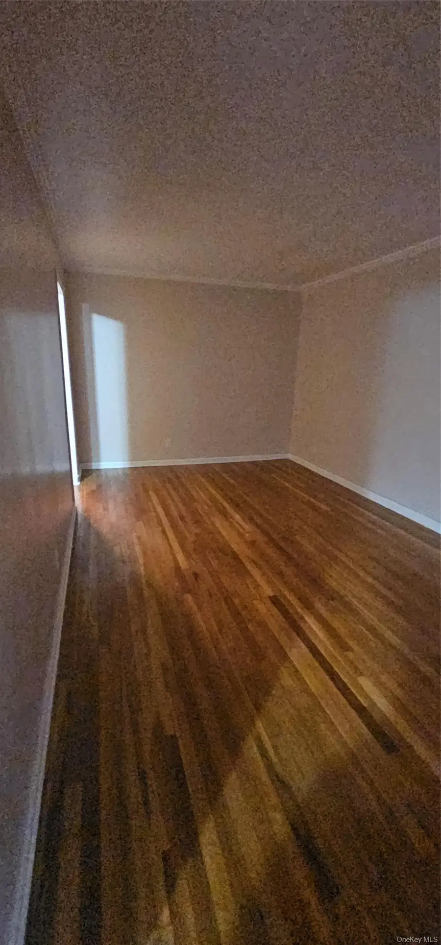 1166 E 103rd Street, Brooklyn, NY 11236 - #2