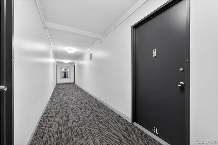 300 Martine Ave #3L, White Plains, NY 10601 - #3