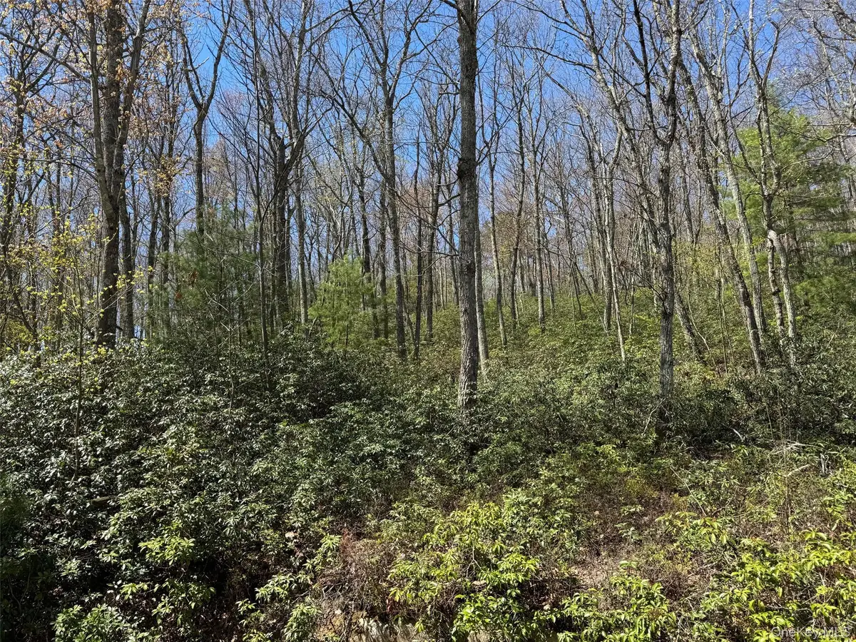 N. Orange St, Port Jervis, NY 12771 - #1