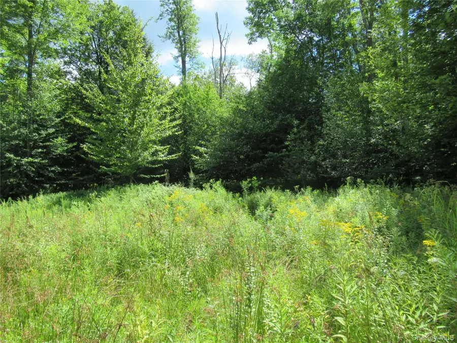 TBD Ferndale Road, Ferndale, NY 12734 - #2