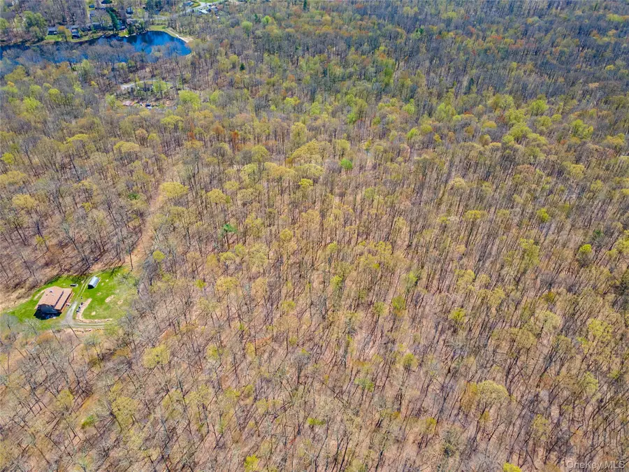 TBD Forest Glen Road, Pine Bush, NY 12566 - #2