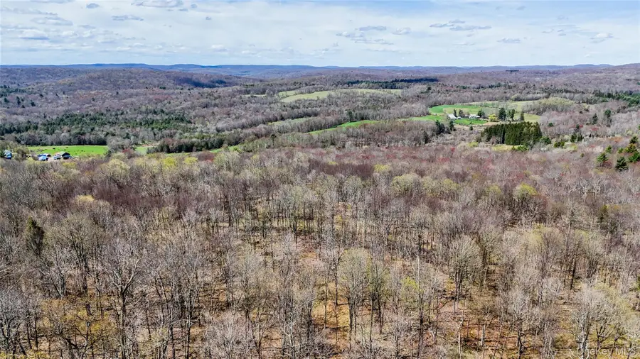 624 County Road, Fremont Center, NY 12736 - #3