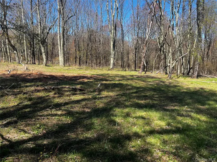 93 Stewart Road, Bethel, NY 12720 - #3