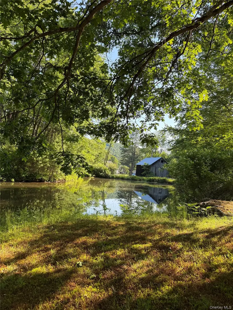 21 Hoffmann Street, Hankins, NY 12741 - #3