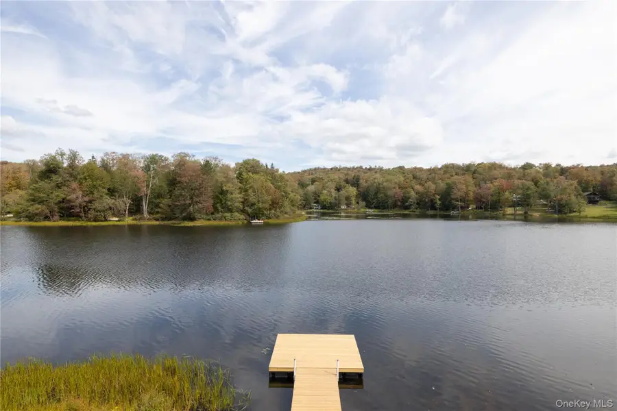 212 Trout Brook Road, Roscoe, NY 12776 - #2